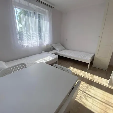 Goscinne Damian Waleryszak