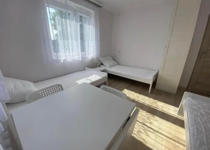 Goscinne Damian Waleryszak